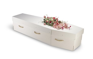 Cardboard coffin